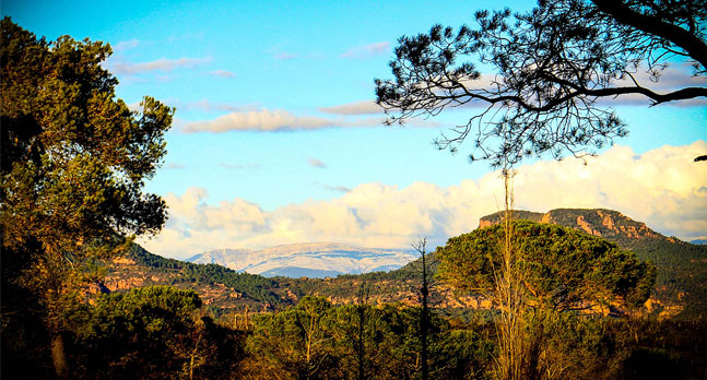 Que faire en Estérel Côte d’Azur selon les saisons ?