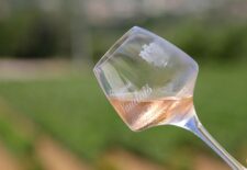 Halte Oenologique au château Vaudois