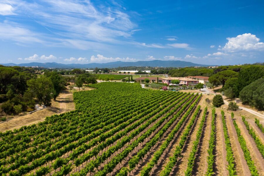 Demi_journee_Lessecretsdesvinsdeprovence