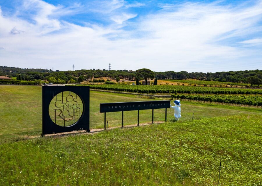 Demi_journee_Lessecretsdesvinsdeprovence