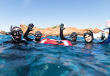 Apnée et pêche sous-marine – Estérel Sea School