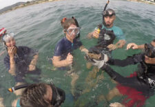 Randonnée subaquatique – Esterel Sea School