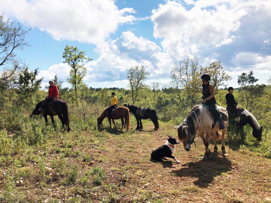 Les Poun’s en herbe