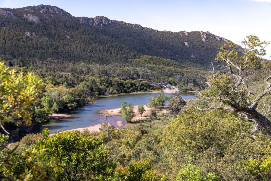 Les saveurs sauvages du maquis