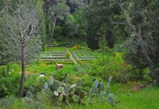 Promenade nature au parc aurélien