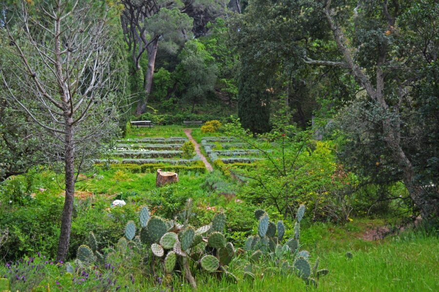 Promenade nature au Parc Aurélien