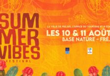 Summer Vibes Festival