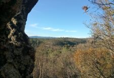 Tous engagés pour la nature !