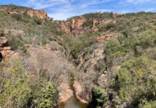 Balade naturaliste au Blavet avec Alex