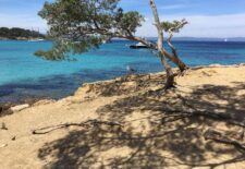 Excursion en bateau les Iles de Port Cros et Porquerolles