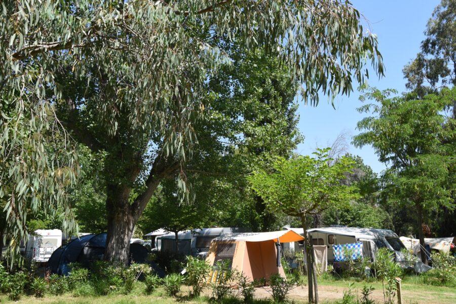 Domaine de la Bergerie