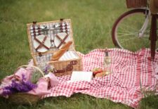 Pique Nique dans les vignes