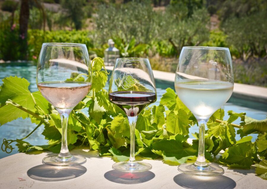 Demi_journee__terroir_secrets_vins_provence